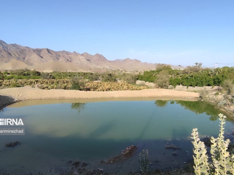 پایش مزارع پرورش ماهی قصرشیرین برای پیشگیری از شیوع بیماریهای ویروسی