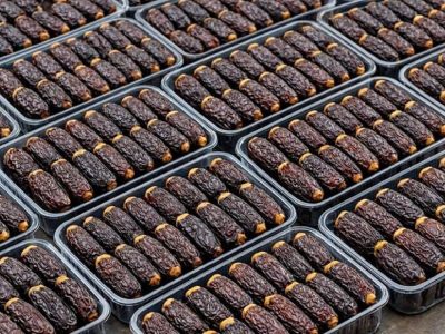 حاجیآباد؛ مهد تولید «نگین خرمای ایران» با پیشبینی برداشت ۳۸ هزار تن پیارم