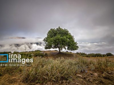 سرمای پاییز در راه همدان