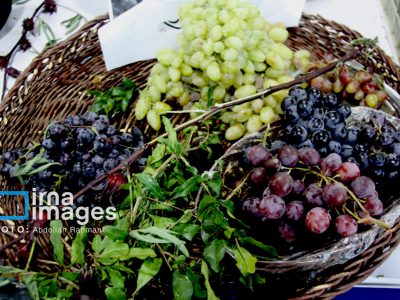 فروش اولیه غرفهداران جشنواره انگور هزاوه از ۳۰۰ میلیارد ریال گذشت