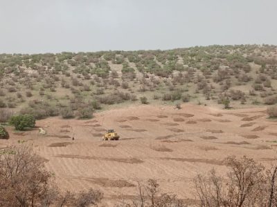 شناسایی تخریب ۲۶ قطعه از اراضی ملی در ۱۳ روستای کردستان