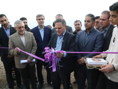 بزرگترین باغ زیتون کشور در زنجان افتتاح شد