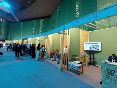 ایران در کاپ ۱۷ / از بررسی اسناد الحاقی کنوانسیون تنوعزیستی تا توجه به خسارات جنگ